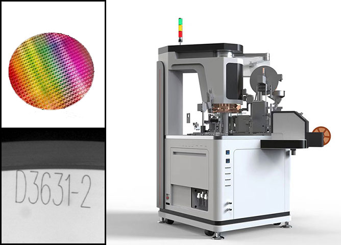 Wafer character detection system